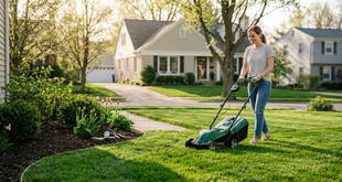 The Best Small Lawn Maintenance Strategies for Novices: A Clear Guide to Simple, Long-Lasting Results